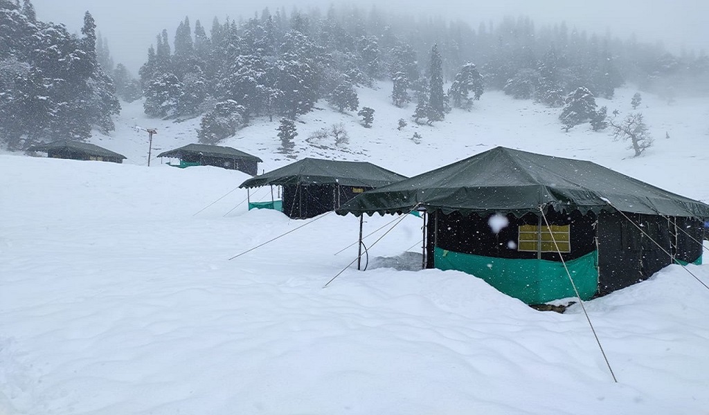 camp in chopta