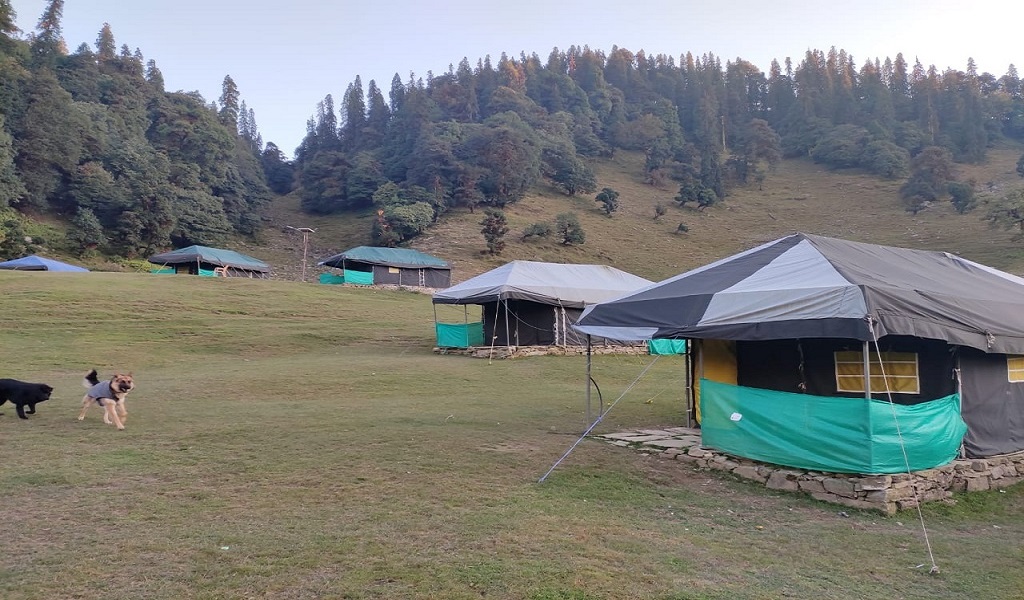 snowfall in chopta today